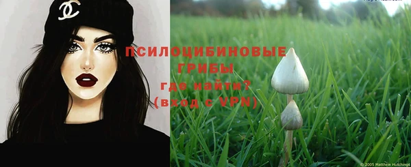 прущие грибы Белоозёрский