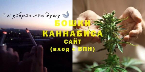 ГАЛЛЮЦИНОГЕННЫЕ ГРИБЫ Богородск
