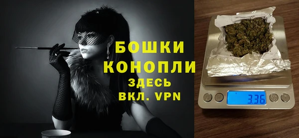 прущие грибы Белоозёрский