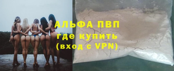spice Богданович