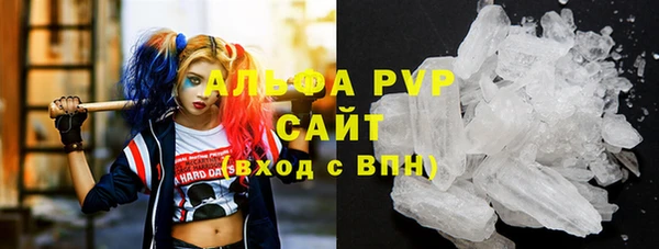 прущие грибы Белоозёрский
